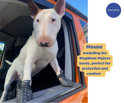 PawShield™ - Outdoor Dog Boots