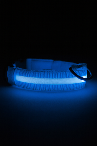 The Puppy GlowCollar