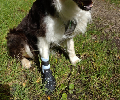 PawShield™ - Outdoor Dog Boots