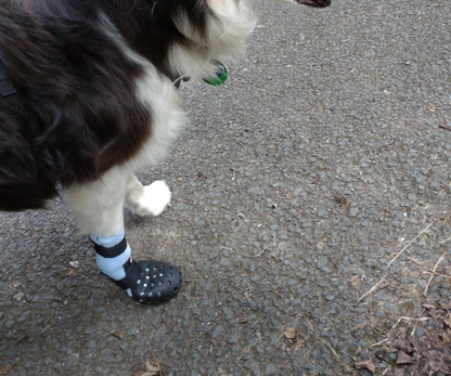 PawShield™ - Outdoor Dog Boots
