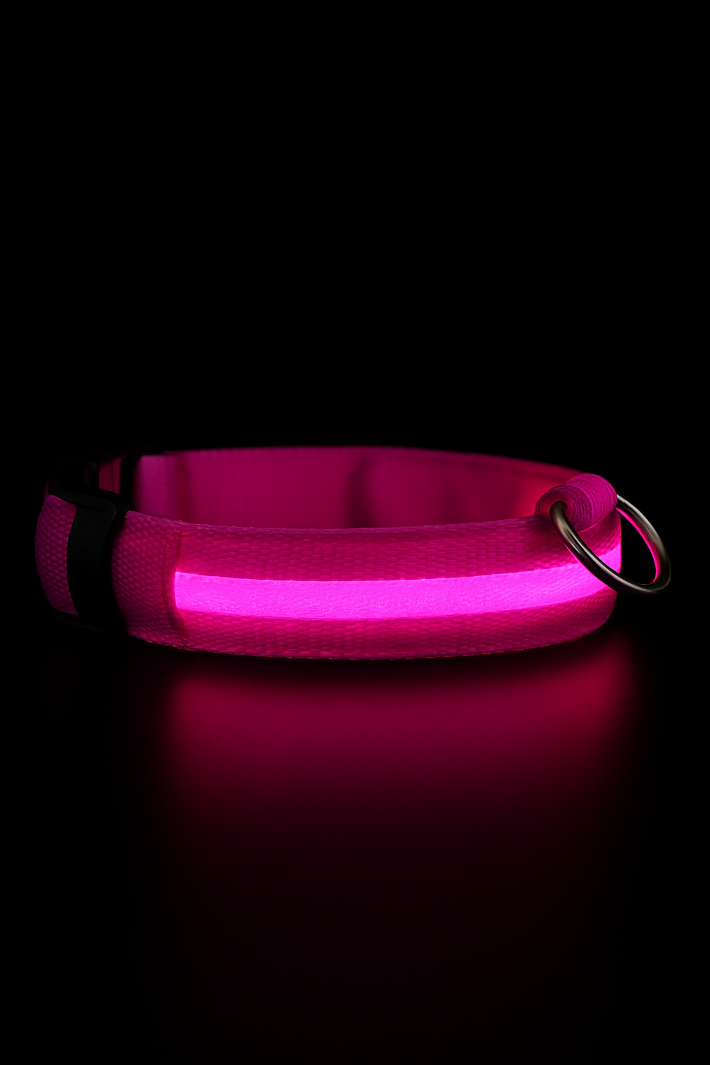 The Puppy GlowCollar