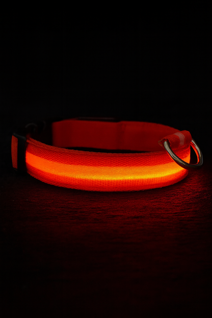 The Puppy GlowCollar