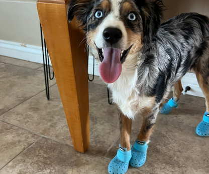 PawShield™ - Outdoor Dog Boots