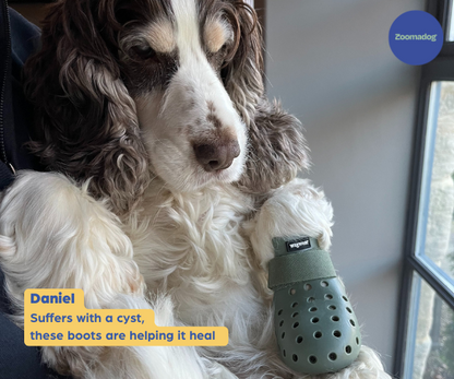 PawShield™ - Outdoor Dog Boots