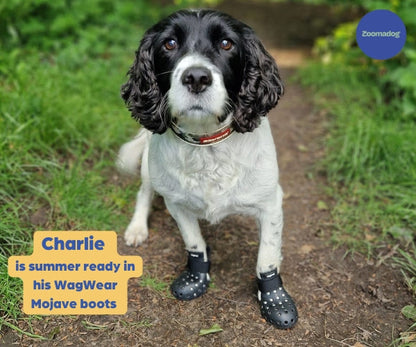 PawShield™ - Outdoor Dog Boots