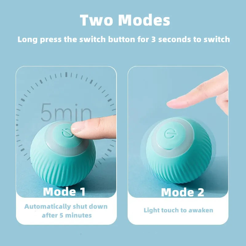 ChaseSpin™ Motion Cat Ball