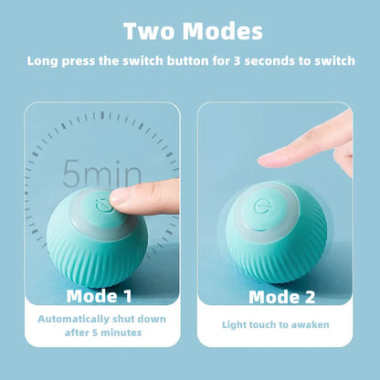 ChaseSpin™ Motion Cat Ball