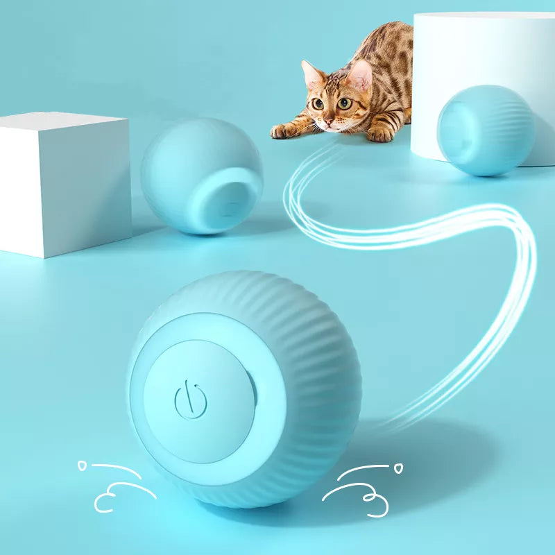 ChaseSpin™ Motion Cat Ball