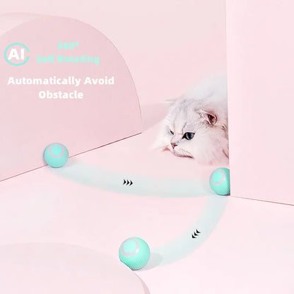 ChaseSpin™ Motion Cat Ball