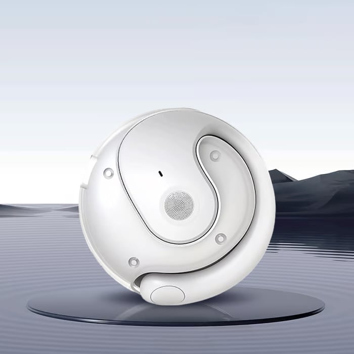 The AI Headphones